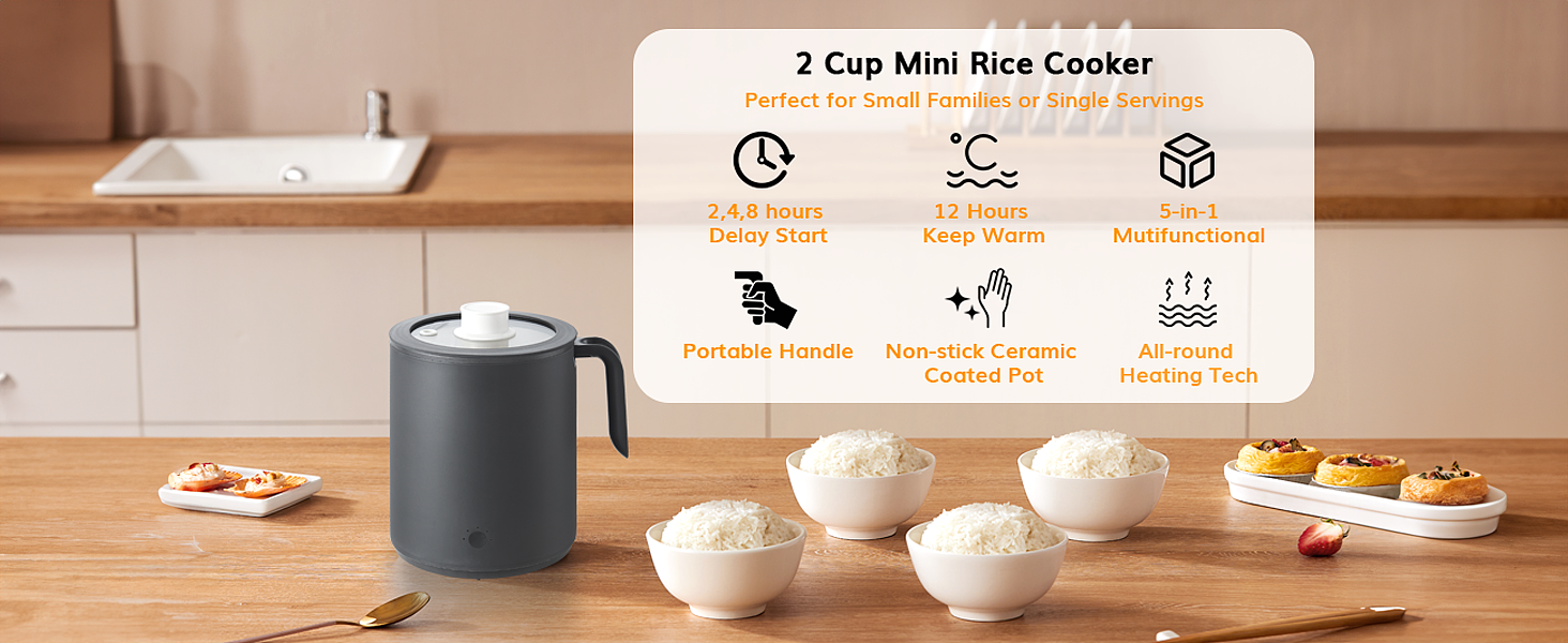  OCTAVO 2 Cup Rice Cooker      