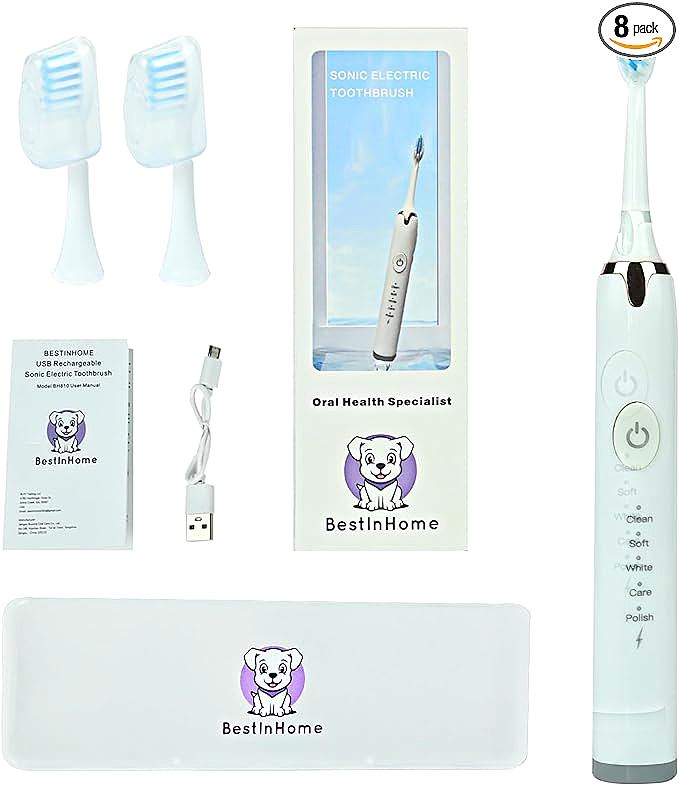 BestInHome BH810 Sonic Electric Toothbrush - An In-Depth