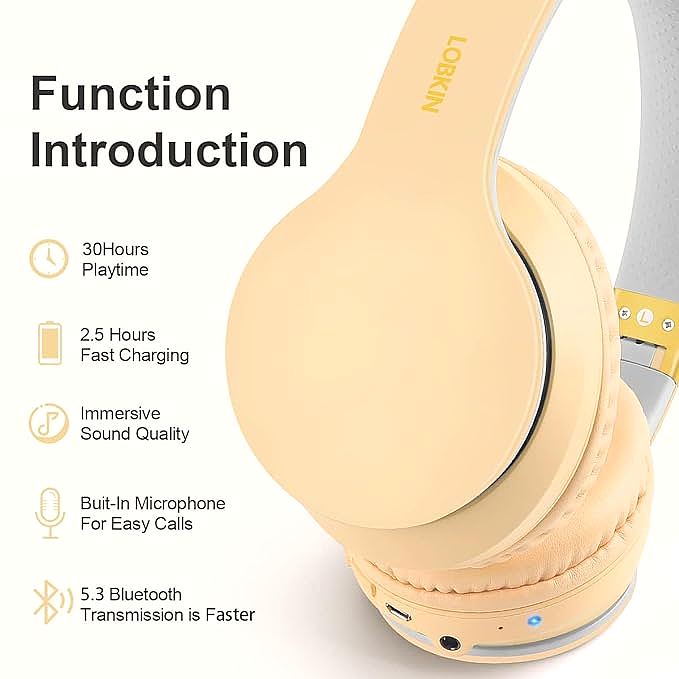  LOBKIN S22 Wireless Headphones 