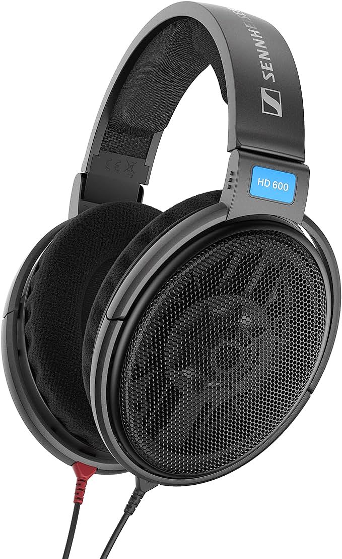 Sennheiser Consumer Audio HD 600 Audiophile Hi-Res Open Back Dynamic Headphone: Legendary Open-Back Audiophile Headphones